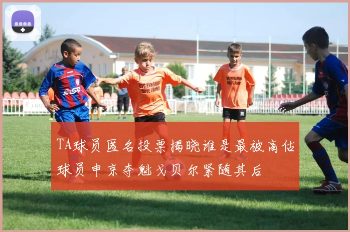 TA球员匿名投票揭晓谁是最被高估球员申京夺魁戈贝尔紧随其后